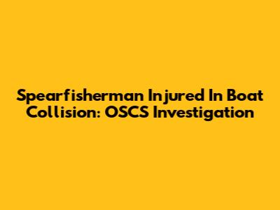 Spearfisherman Injured In Boat Collision: OSCS Investigation